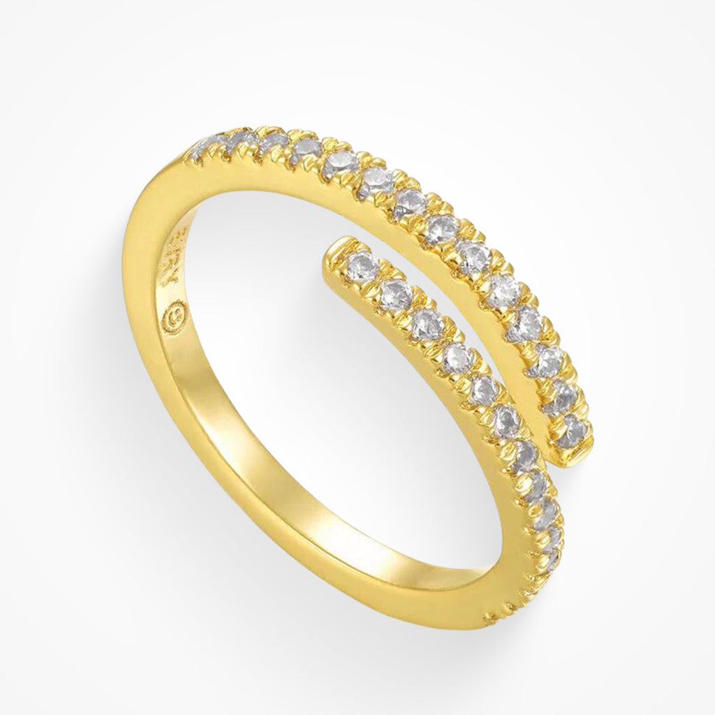 Forever Ring - EVRYJEWELS